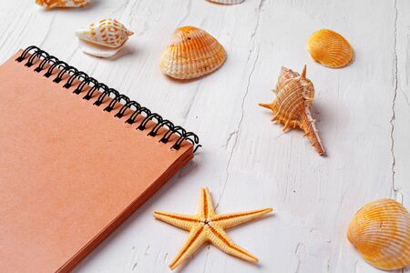 Brown open notepad surrounded by sea shells on white wooden tableの写真素材