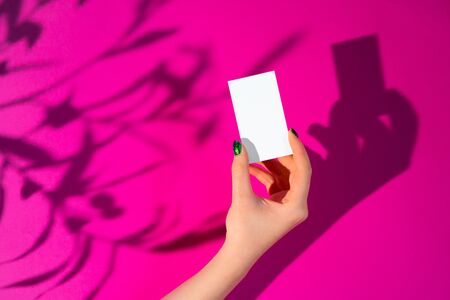 Female hand holding blank businesscard. Creative photo with shadowの写真素材