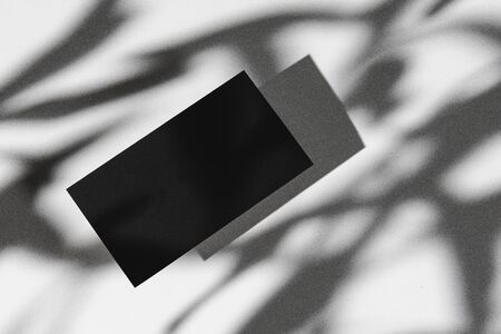 Dark photo of business identity template mockupの写真素材