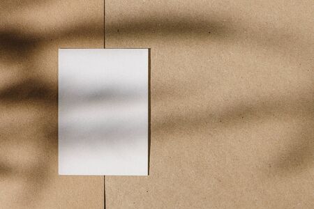 Foliage shadow on paper background with business card
