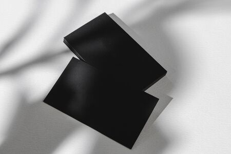 Foliage shadow on paper background with business cardの写真素材