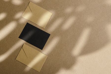Envelopes on cork board with leaf shadowの写真素材