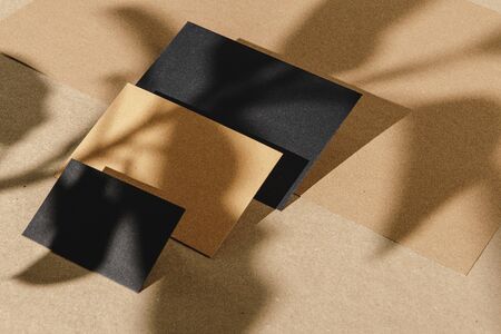Foliage shadow on paper background with business cardの写真素材