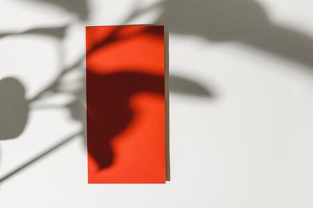 Foliage shadow on paper background with business cardの写真素材