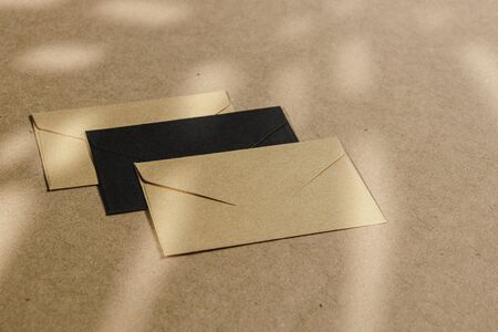 Envelopes on cork board with leaf shadow