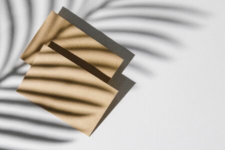 Business card on paper background with foliage shadow