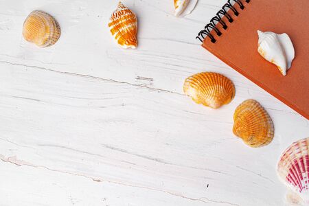 Brown open notepad surrounded by sea shells on white wooden table closeupの写真素材
