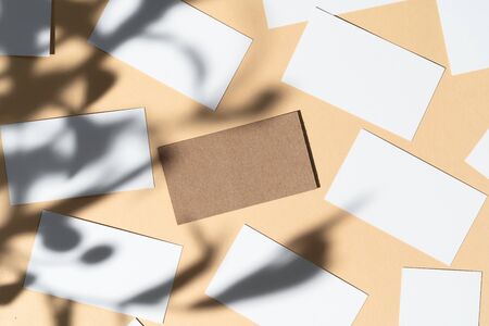 Blank white businesscard on beige background with creative floral shadowの写真素材