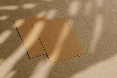Envelopes on cork board with leaf shadowの写真素材
