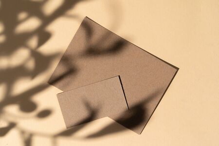Blank white businesscard on beige background with creative floral shadow, copy spaceの写真素材