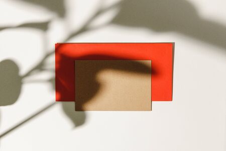 Business card on paper background with foliage shadow, copy spaceの写真素材