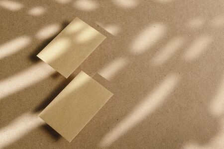 Envelopes on cork board with leaf shadow