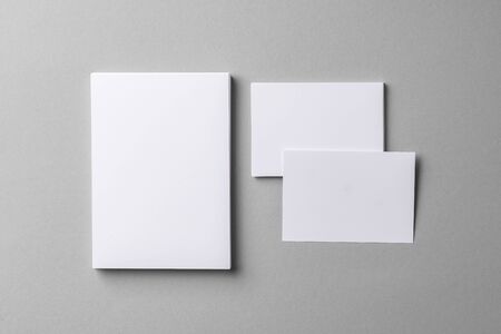 Business mock up cards with copy space on grey