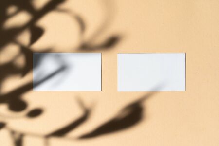 Blank white businesscard on beige background with creative floral shadow, copy space