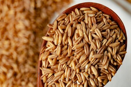 Raw uncooked whole oats grain close upの写真素材