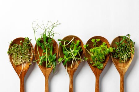 Micro greens in wooden spoon on white backgroundの写真素材