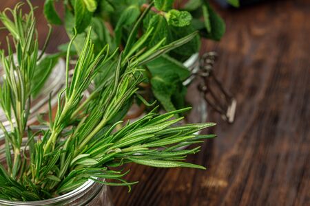 Rosemary branch in a glass cup close upの写真素材