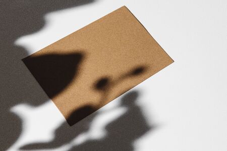 Business card on paper background with foliage shadowの写真素材