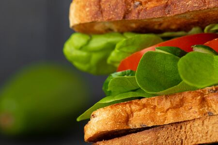 Healthy sandwich with vegetables on dark wooden background