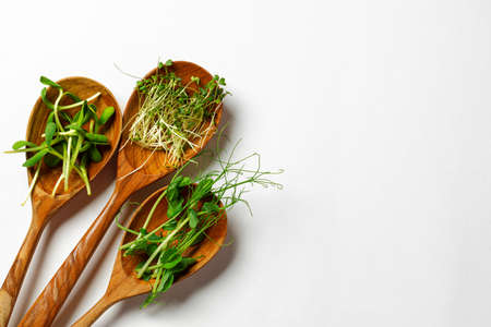 Micro greens in wooden spoon on white background, top viewの写真素材