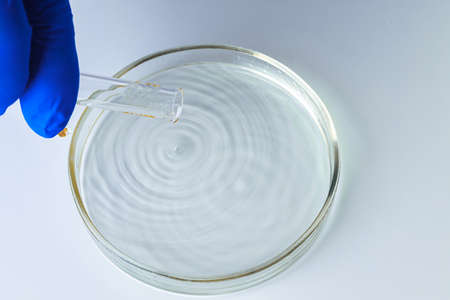 Close up of gloved hands of a scientist working with laboratory samplesの写真素材