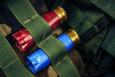 Two hunting cartridges in khaki ammunition belt close upの写真素材
