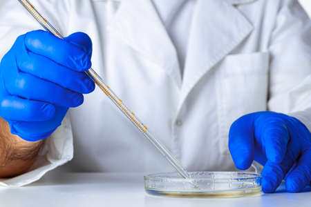 Close up of hands of a scientist working with laboratory samples