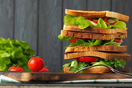 Healthy sandwich with vegetables on dark wooden backgroundの写真素材