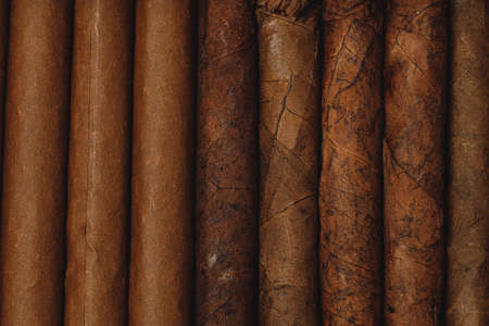 Background of stacked rolled cigars close up