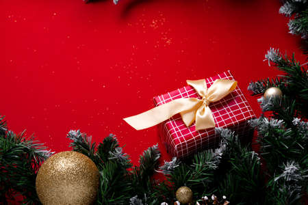 Frosted Christmas tree branches on red backgroundの写真素材