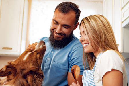 Happy couple cooking food at kitchen with their dogの写真素材