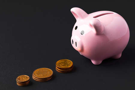 Piggy bank money box with Ukrainian money