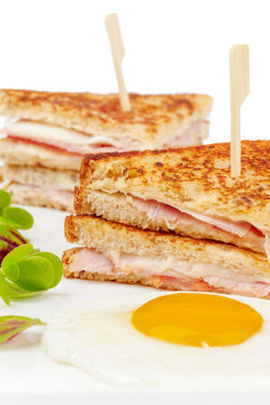 Sandwich with meat slices on white backgroundの写真素材