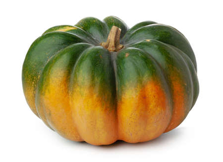 Studio shot of a pumpkin isolated on white backgroundの写真素材