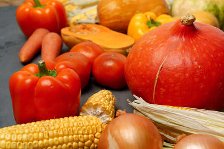 Variety of ripe vegetables including pumpkin and corn on dark backgroundの写真素材