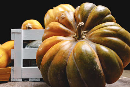 Close up of big pumpkin with tail