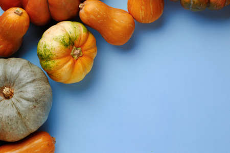 Set of different color pumpkins on blue backgroundの写真素材