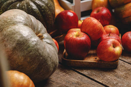 Pumpkins and red apples on wooden background