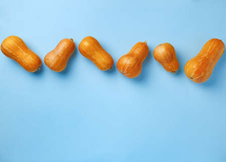 Small pumpkins on blue pastel background top viewの写真素材