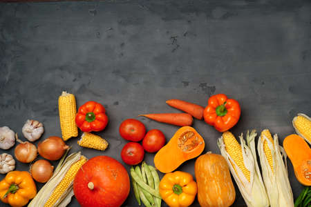 Variety of ripe vegetables including pumpkin and corn on dark background