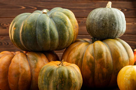 Assortment of different pumpkins on dark wooden background