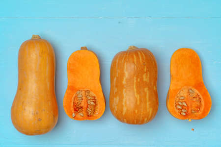 Orange pumpkins on blue background top view