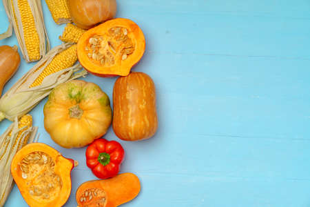 Variety of vegetables including pumpkins on blue pastel backgroundの写真素材