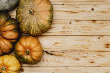 Toned autumn background with pile of pumpkinsの写真素材