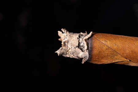 Burning cigar on black background close upの写真素材