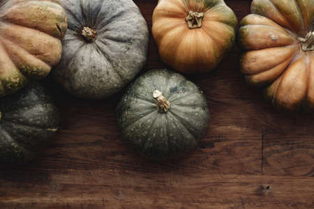 Toned autumn background with pile of pumpkinsの写真素材