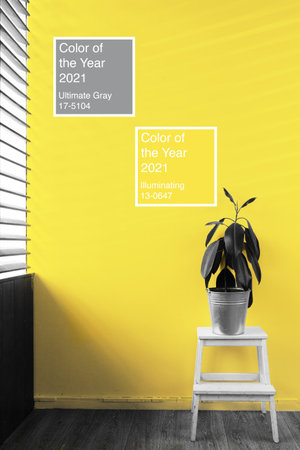 Gray plant in a vase against yellow wallの写真素材