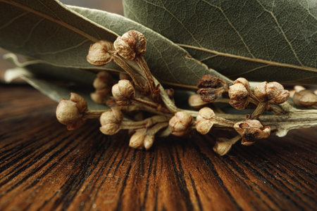 Macro photo of bay leaf spice on tableの写真素材