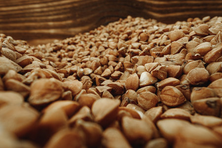 Macro photo of handful dry buckwheat grainの写真素材