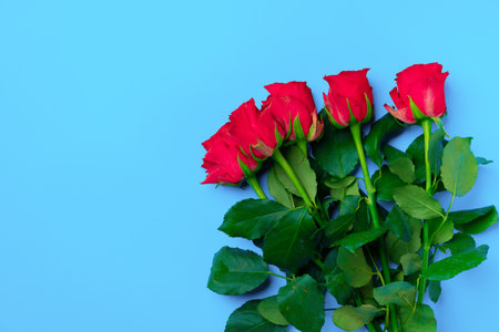 Bouquet of roses on blue background top viewの写真素材